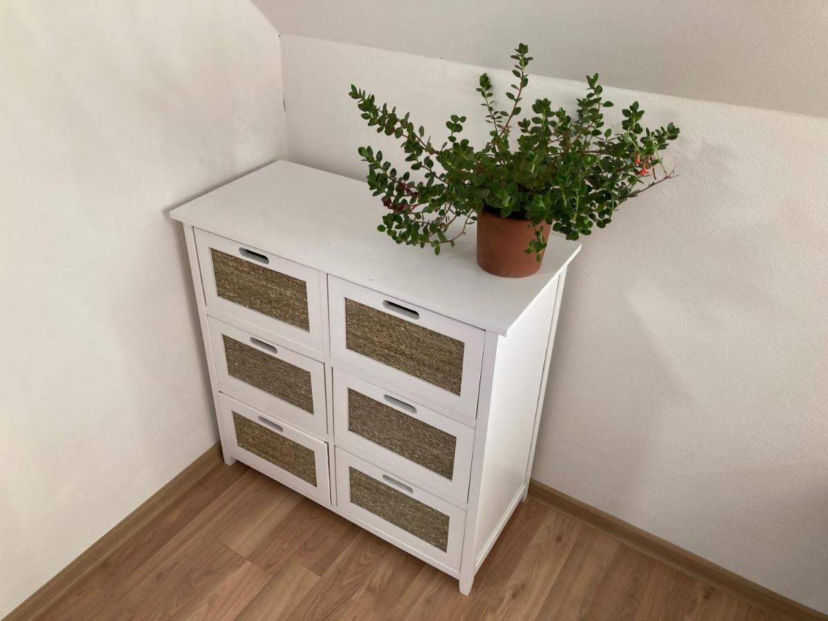Lásenice Apartmany U Reky Nezarky מראה חיצוני תמונה
